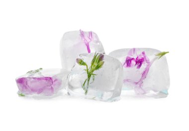 Donmuş çiçekler beyaz arka planda buzda