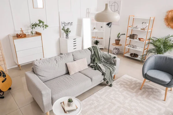 Rahat mobilyaları olan şık bir oturma odası.