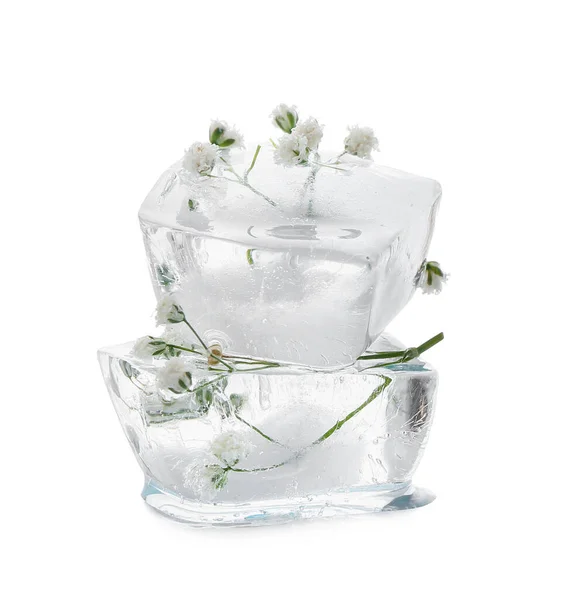 Frozen Flowers Ice White Background — Stock Photo, Image