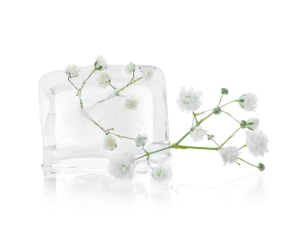 Gefrorene Blumen Eis Auf Weißem Hintergrund — Stockfoto