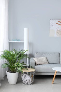 Oturma odasındaki kanepe çok şık.