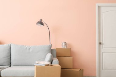 Taşındığı gün yeni dairede içinde eşyalar ve kanepe olan karton kutular.