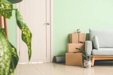 Taşındığı gün yeni dairede içinde eşyalar ve kanepe olan karton kutular.