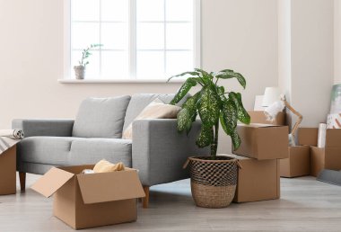 Taşındığı gün yeni dairede içinde eşyalar ve kanepe olan karton kutular.