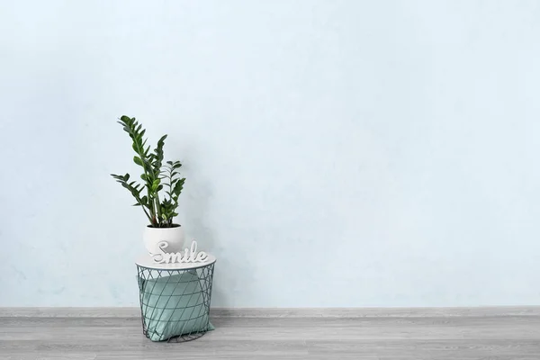 Table Avec Plante Intérieur Dans Une Pièce Vide — Photo