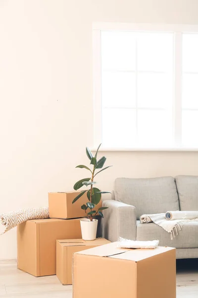搬迁日新公寓内装有个人物品和沙发的纸板箱 — 图库照片