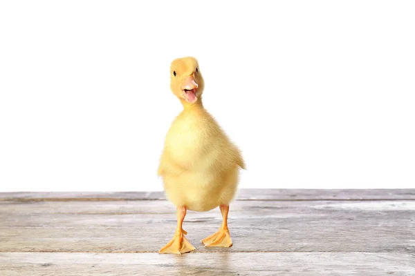 Cute Duckling Table White Background — Stock Photo, Image