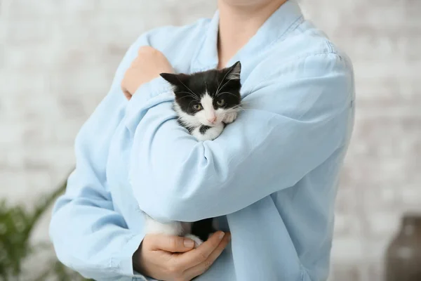 Woman Cute Funny Kitten Home Closeup — Stock Photo, Image