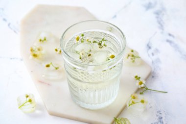 Beyaz arka planda buzda donmuş çiçeklerle dolu cam.