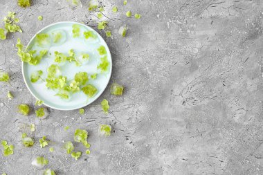 Gri zemin üzerinde donmuş çiçeklerle kaplı plaka