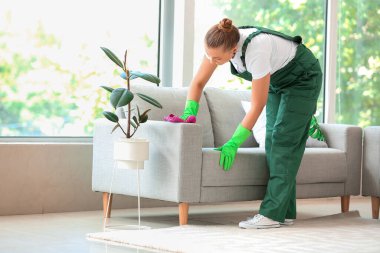 Kuru temizlemecinin çalışanı evdeki kanepedeki kiri temizliyor.