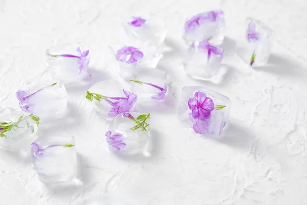 Frozen Flowers Ice White Background — Stock Photo, Image