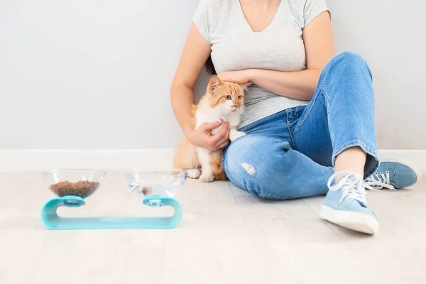Sahibi Sevimli Kediyi Evde Besliyor — Stok fotoğraf