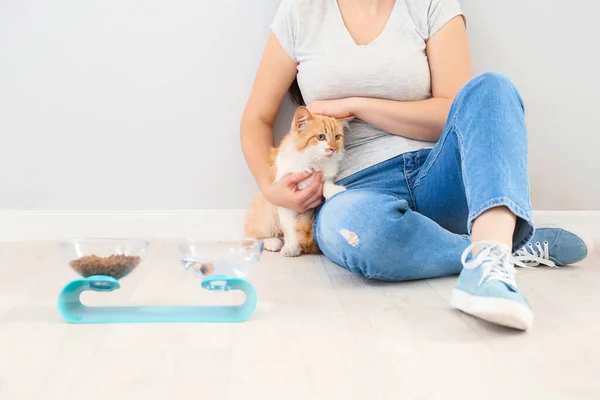 Owner feeding cute cat at home