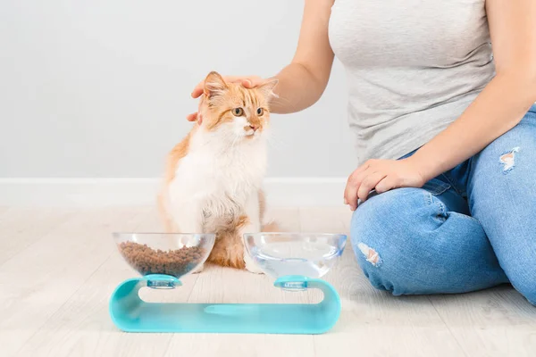 Owner Feeding Cute Cat Home — Stock Photo, Image