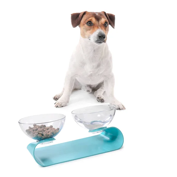 Cute Dog Bowls Food Drink White Background — Stock Photo, Image