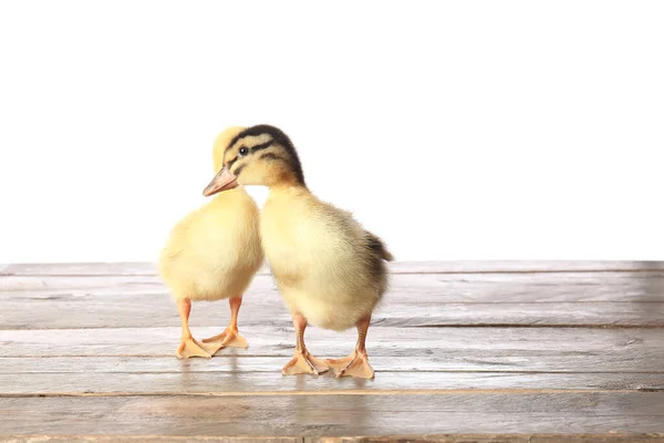 Cute Ducklings Table White Background — Stock Photo, Image