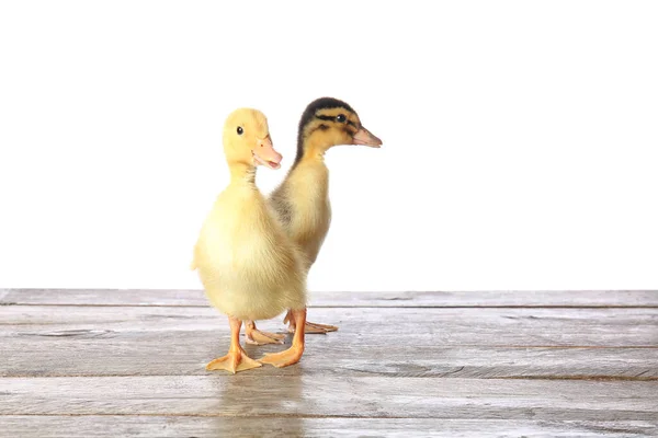 Cute Ducklings Table White Background — Stock Photo, Image