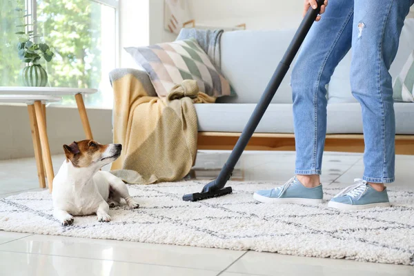 Owner Cute Dog Cleaning Carpet Home — Stock Photo, Image
