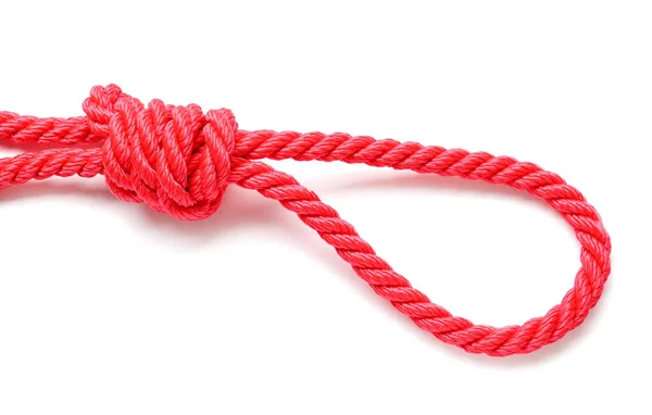 Мотузка Петлею Білому Тлі — стокове фото