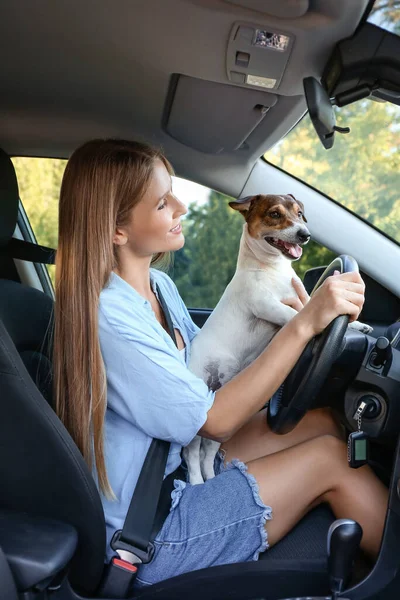 Mulher Com Cão Bonito Viajando Carro — Fotografia de Stock