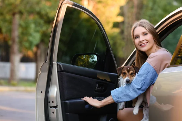 可愛い犬が車から出る女 — ストック写真