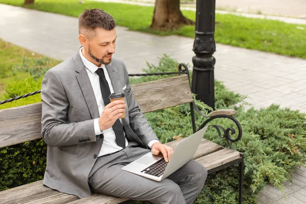 Handsome Businessman Laptop Park — Stock Photo, Image