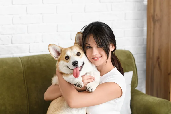 Woman Cute Corgi Dog Home — Stock Photo, Image