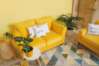 Rahat kanepeli modern bir oda.