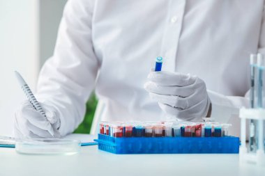 Laboratuvarda kan örnekleriyle çalışan bir bilim adamı.
