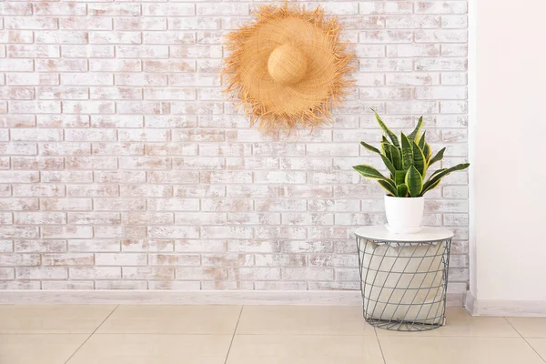 Mesa Con Planta Interior Cerca Pared Ladrillo Habitación — Foto de Stock