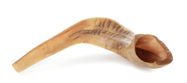 Beyaz arka planda Shofar. Rosh Hashanah (Yahudi Yeni Yılı) kutlaması