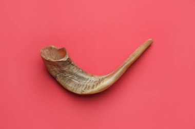 Renkli arka planda Shofar. Rosh Hashanah (Yahudi Yeni Yılı) kutlaması