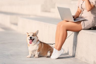 Şirin Corgi köpeği olan bir kadın dışarıda yürüyor.