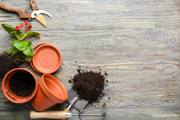 Gardening Tools Wooden Background — Stock Photo, Image