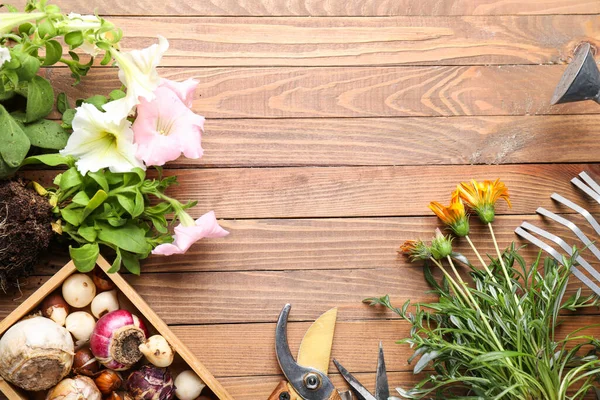 Gardening Tools Wooden Background — Stock Photo, Image