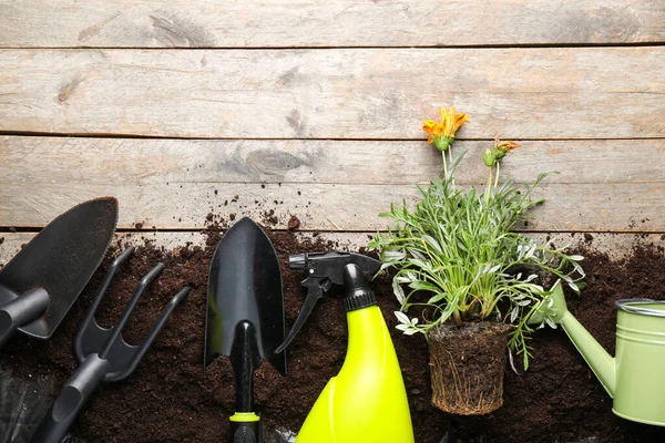 Gardening Tools Wooden Background — Stock Photo, Image