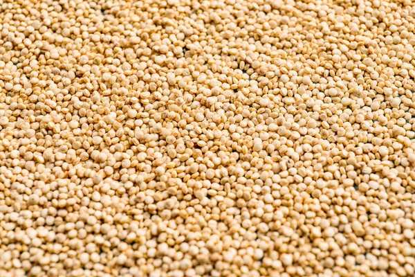 Heap Healthy Quinoa Background — Stock Photo, Image