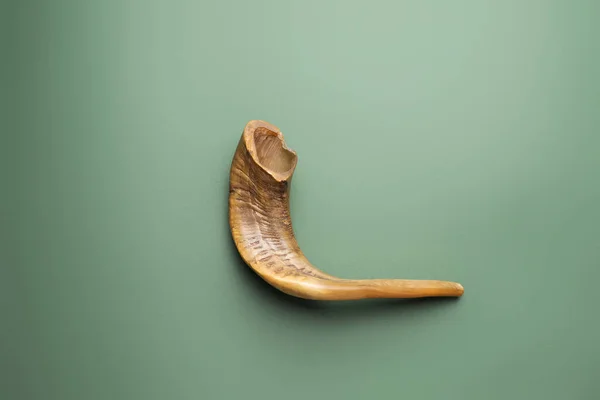 Shofar Sobre Fondo Color Rosh Hashaná Año Nuevo Judío Celebración — Foto de Stock