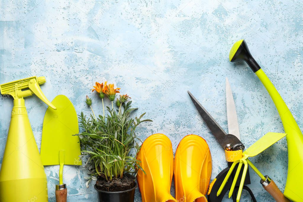 Gardening tools on color background