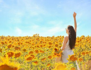 Güneşli bir günde Ayçiçeği tarlasında güzel genç bir kadın
