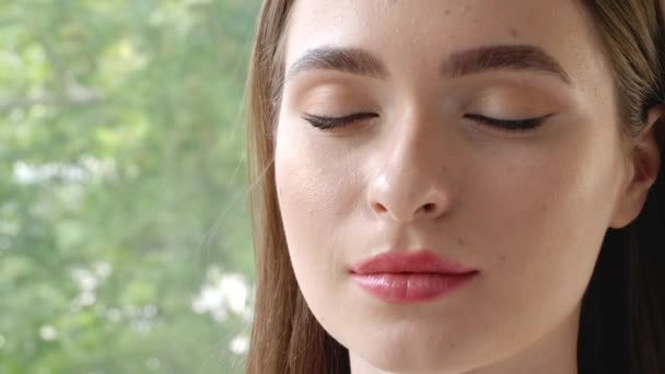 Hermosa Joven Aplicación Maquillaje Primer Plano — Vídeos de Stock