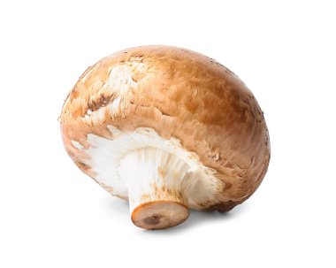 Beyaz arkaplanda çiğ mantar