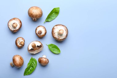 Işık arkaplanda çiğ mantarlar