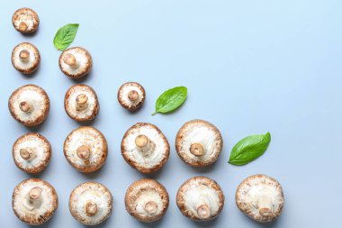 Işık arkaplanda çiğ mantarlar