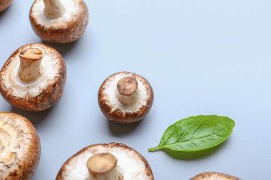 Işık arkaplanda çiğ mantarlar