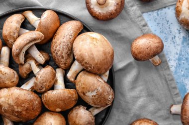 Tabakta çiğ mantar var.