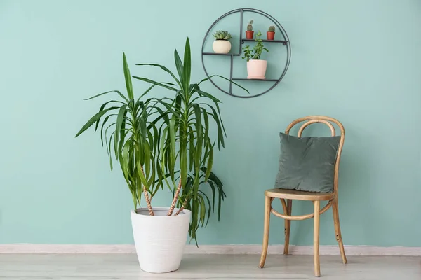 Interior Quarto Moderno Com Plantas Sala Verdes Cadeira — Fotografia de Stock