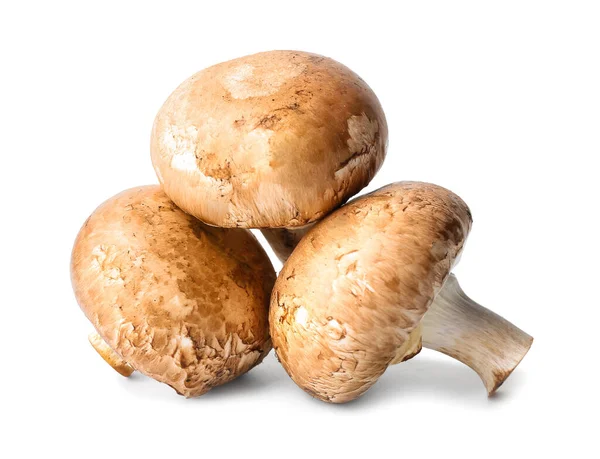Funghi Crudi Sfondo Bianco — Foto Stock