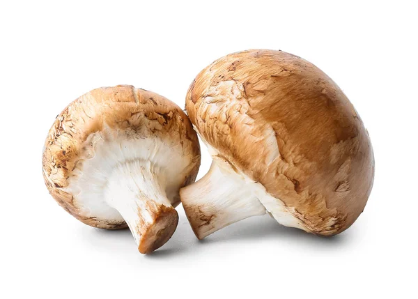 Funghi Crudi Sfondo Bianco — Foto Stock